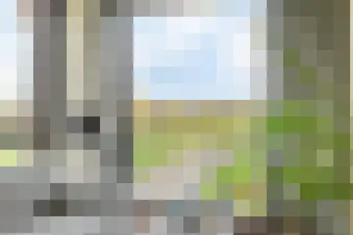 Vlietdijk 46 Rosmalen thumbnail 4