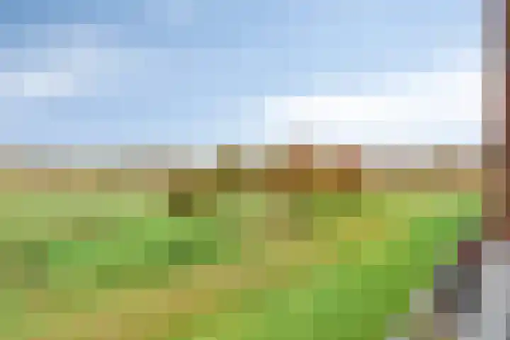 Vlietdijk 46 Rosmalen thumbnail 6