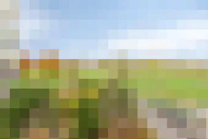 Vlietdijk 46 Rosmalen thumbnail 8