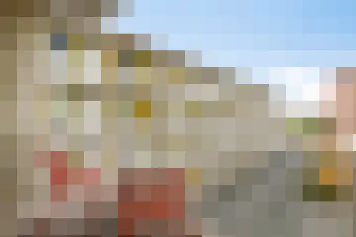 Vlietdijk 64 Rosmalen thumbnail 10