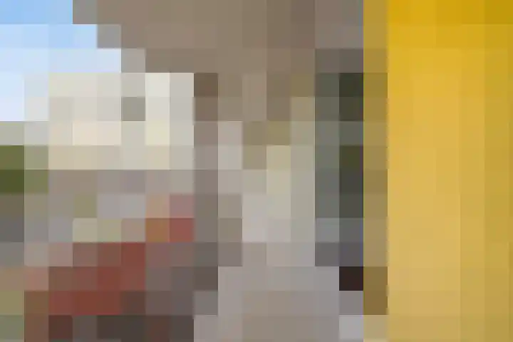 Vlietdijk 64 Rosmalen thumbnail 11