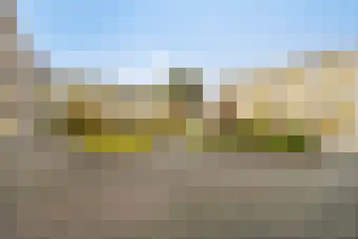 Vlietdijk 64 Rosmalen thumbnail 24