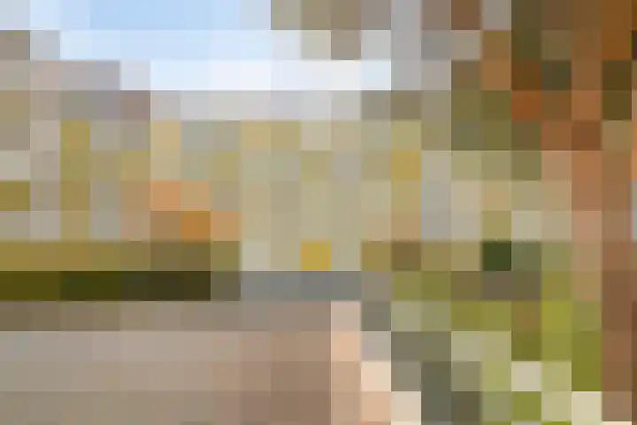 Vlietdijk 64 Rosmalen thumbnail 25