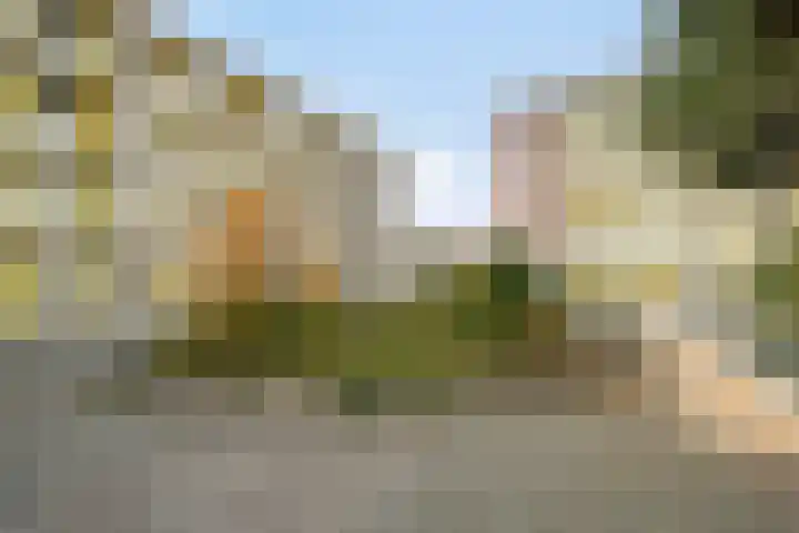 Vlietdijk 64 Rosmalen thumbnail 26