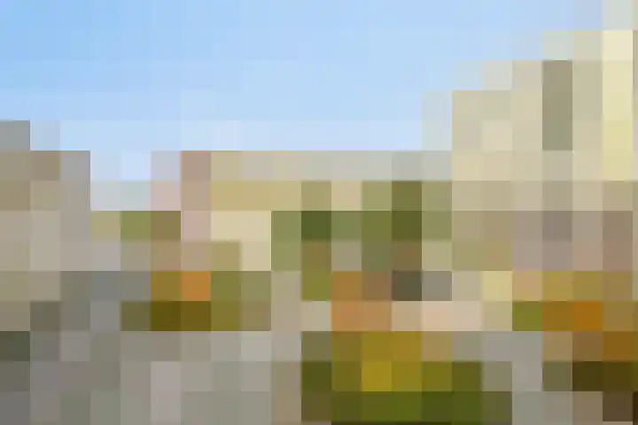Vlietdijk 64 Rosmalen thumbnail 29