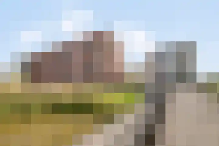 Vlietdijk 64 Rosmalen thumbnail 30