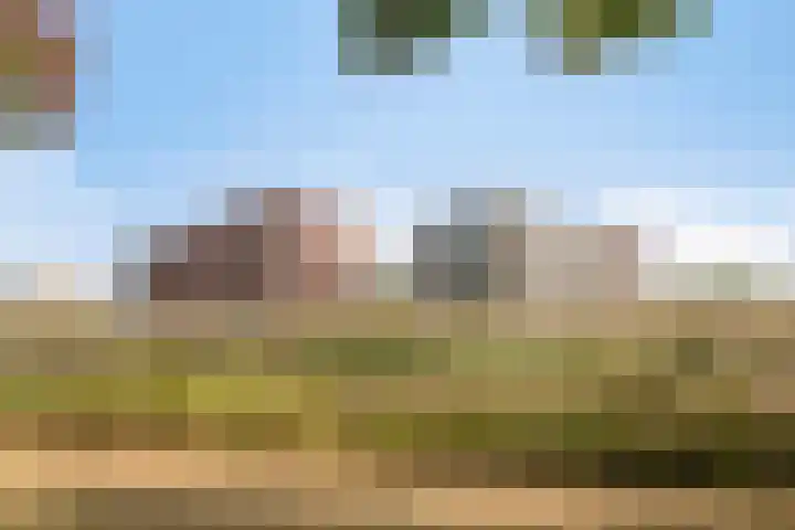 Vlietdijk 64 Rosmalen thumbnail 31
