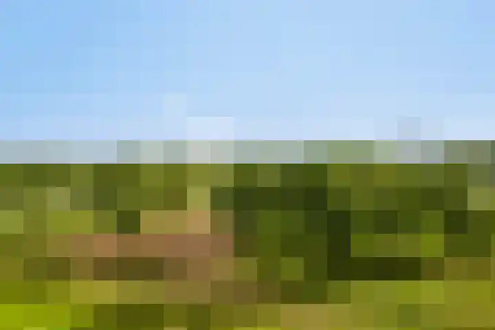 Vlietdijk 64 Rosmalen thumbnail 33