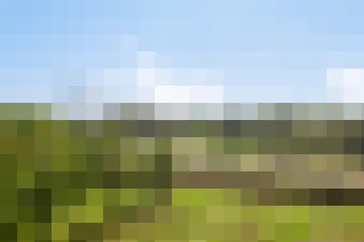 Vlietdijk 64 Rosmalen thumbnail 34