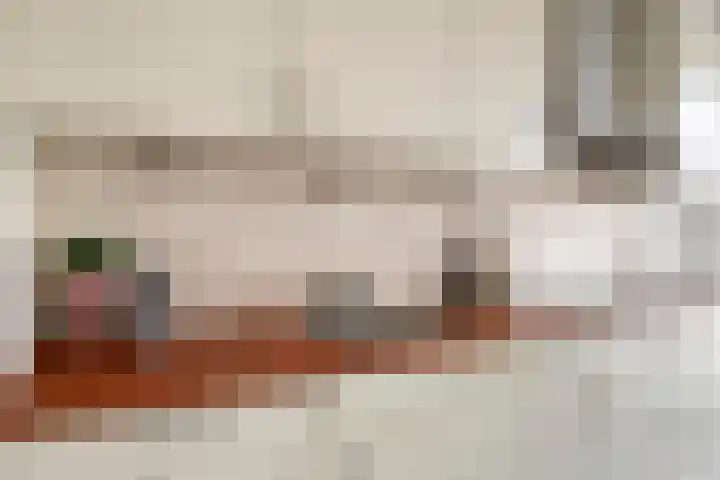 Vlietdijk 64 Rosmalen thumbnail 7