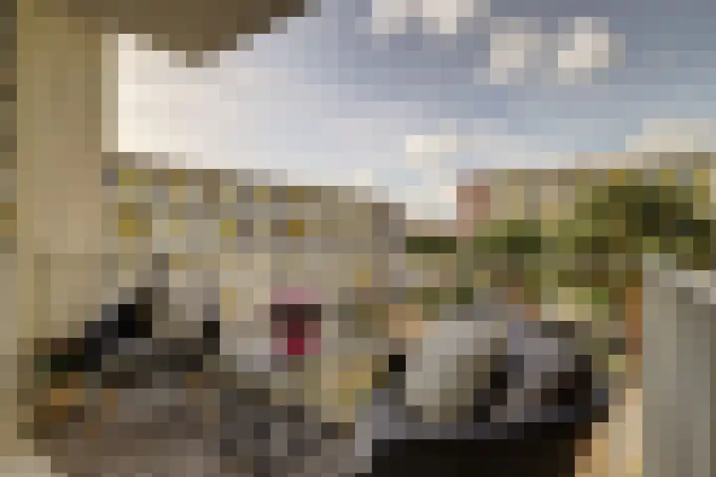 Vlietdijk 68 Rosmalen thumbnail 13