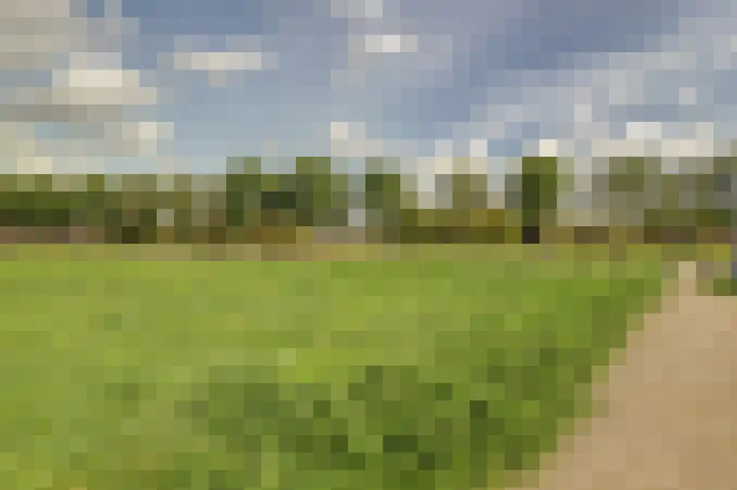 Vlietdijk 68 Rosmalen thumbnail 32
