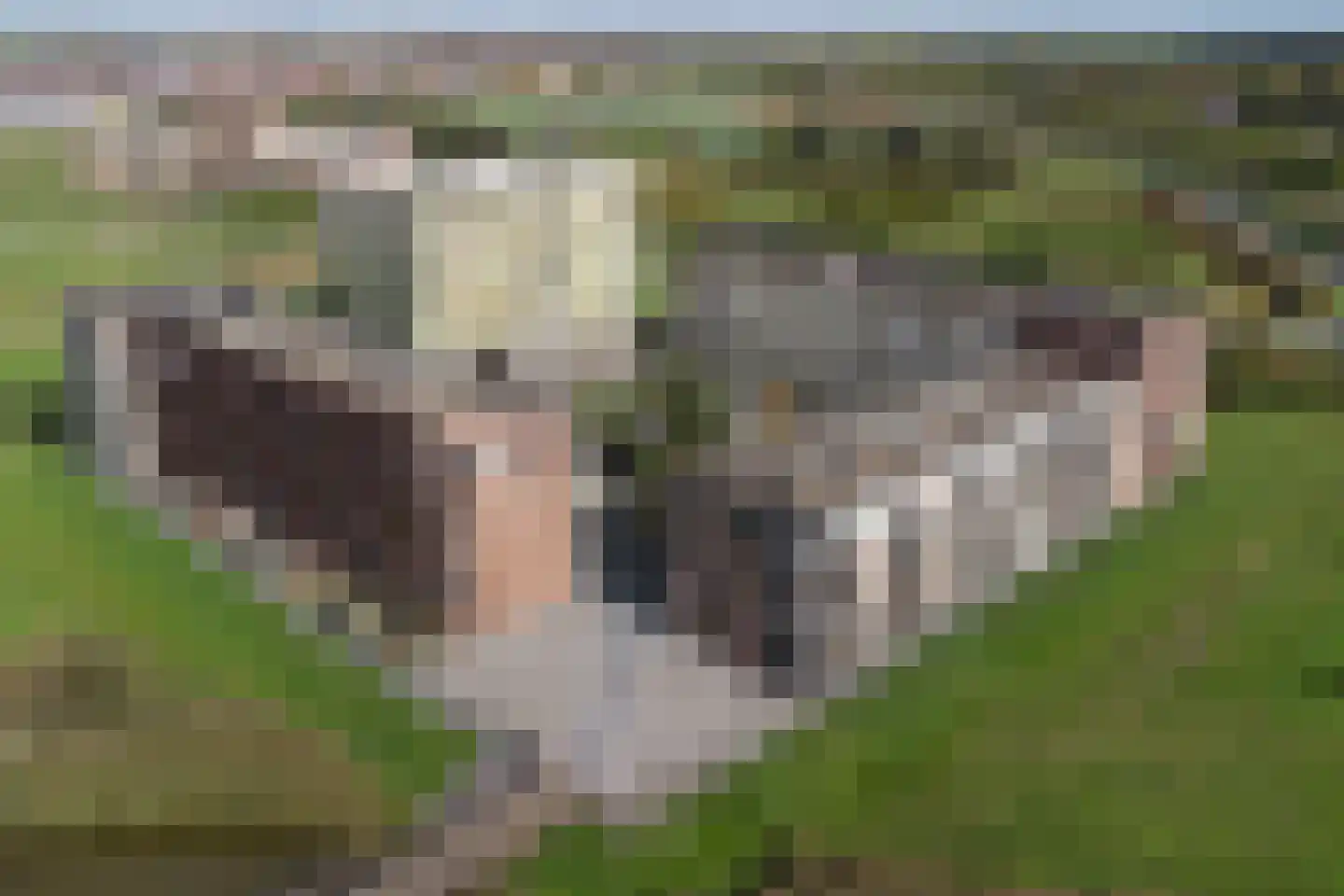Vlietdijk 68 Rosmalen thumbnail 36