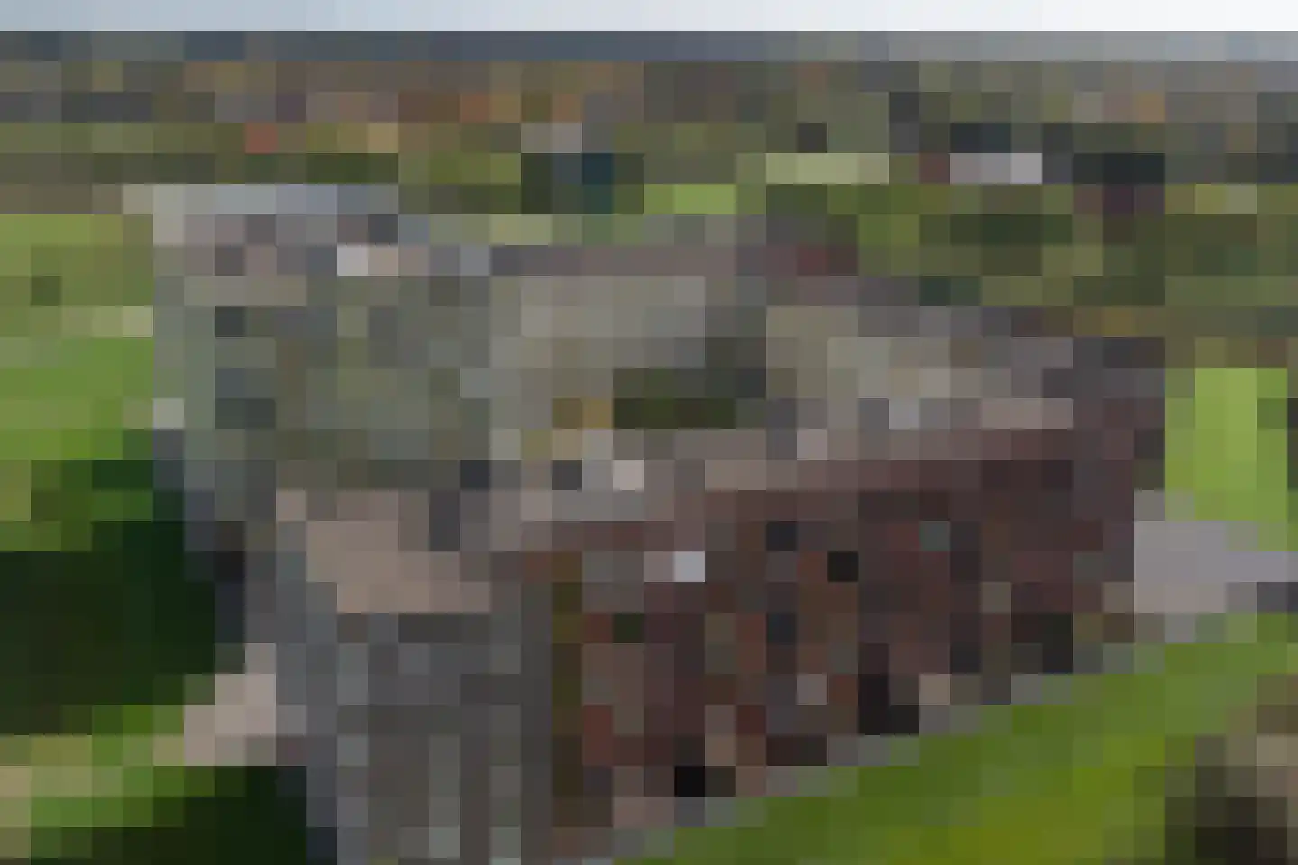 Vlietdijk 68 Rosmalen thumbnail 37