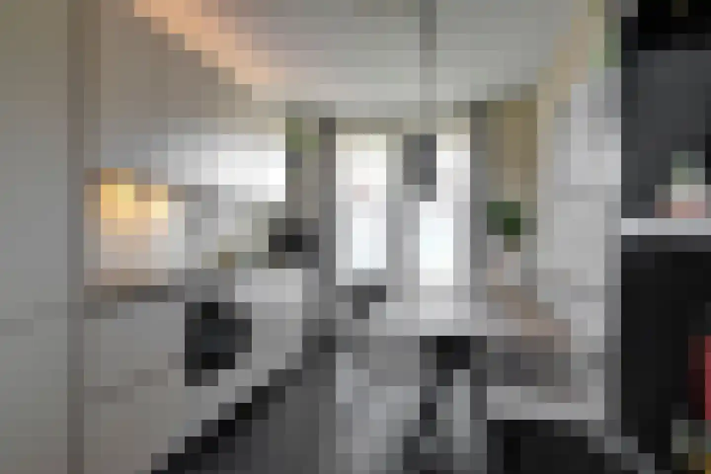 Vlietdijk 68 Rosmalen thumbnail 8