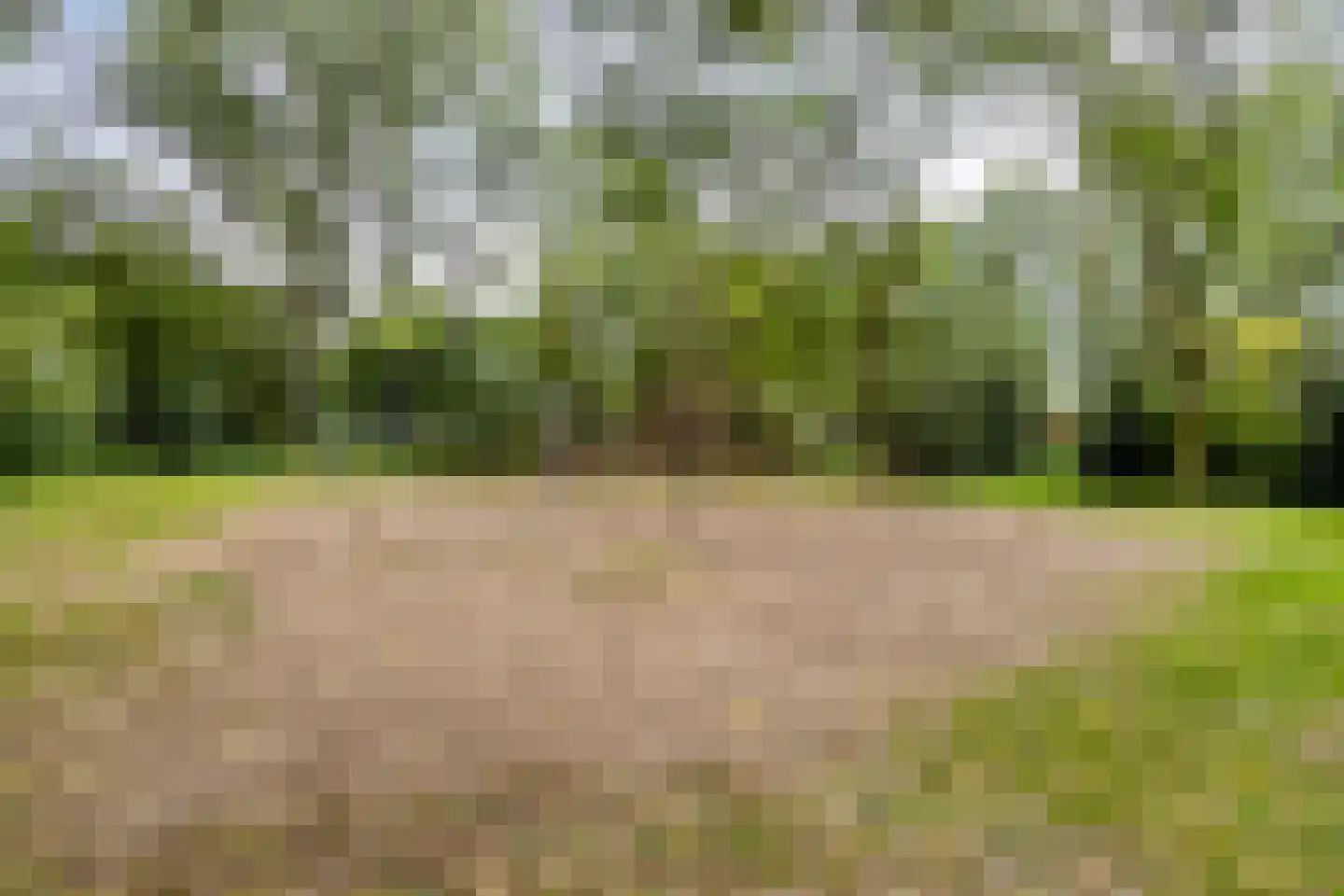 Vlietenburg 10 Gouda thumbnail 31