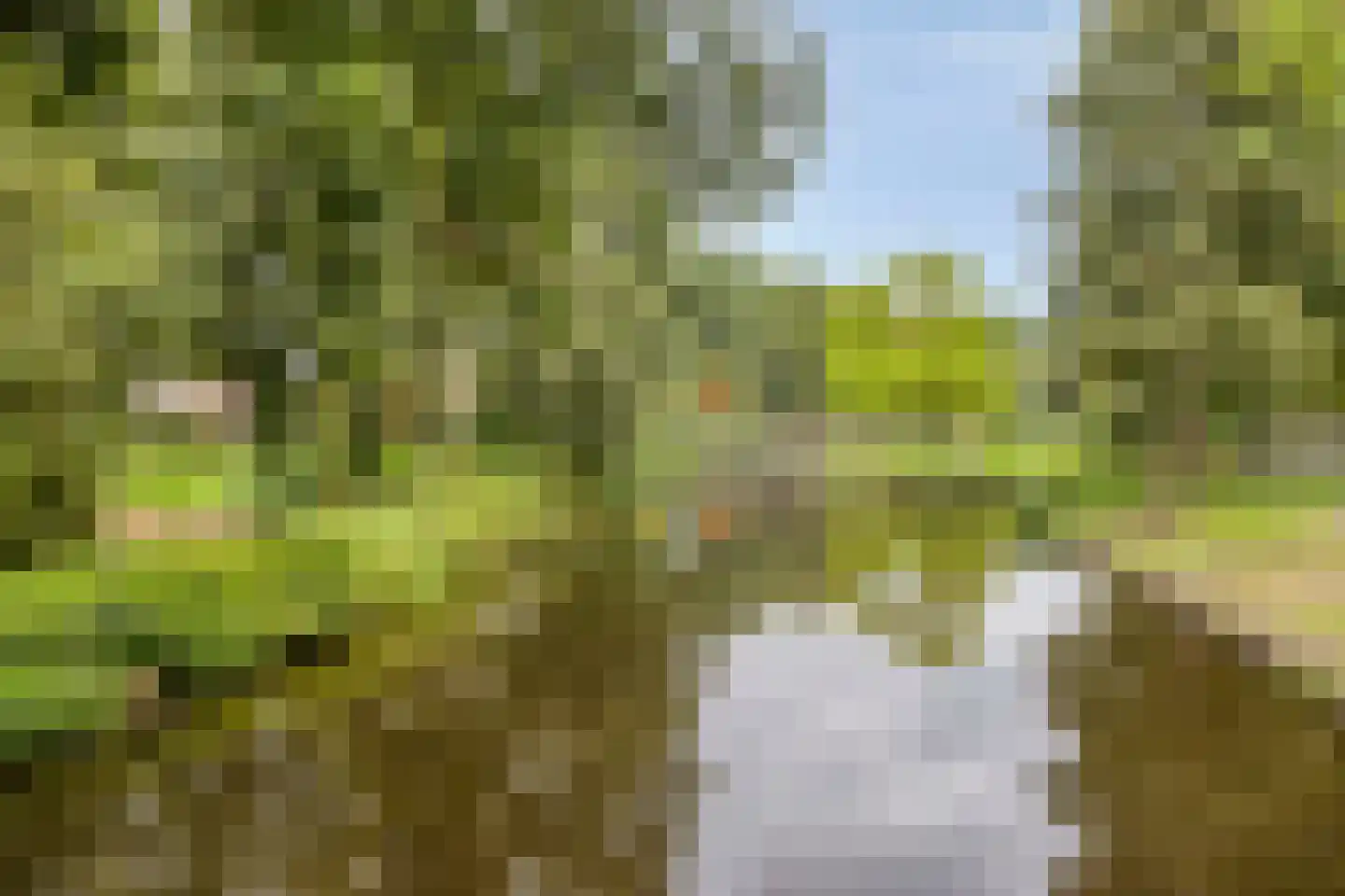 Vlietenburg 10 Gouda thumbnail 33