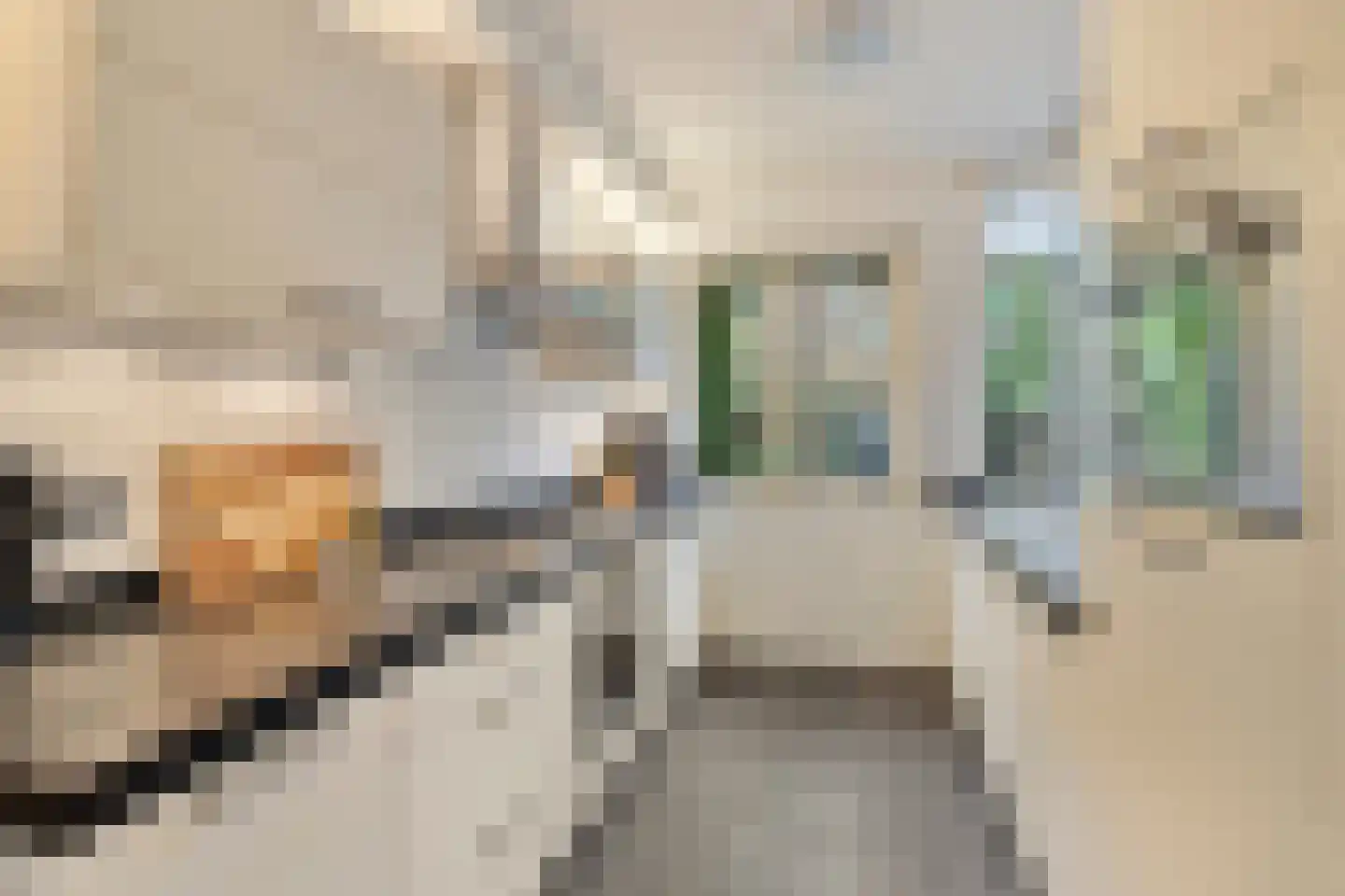 Vlietenburg 10 Gouda thumbnail 4