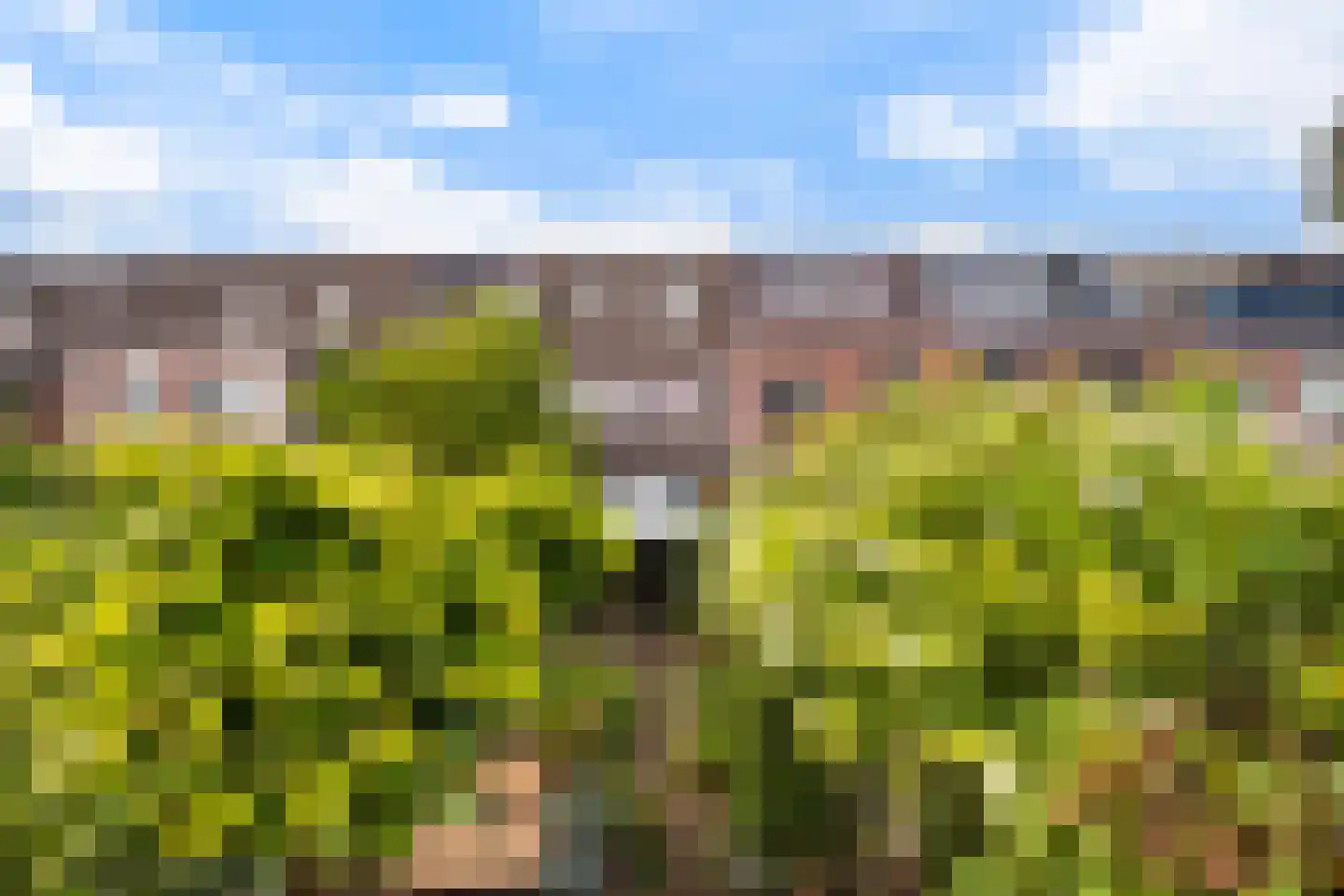 Vlietenburg 11 Gouda thumbnail 45