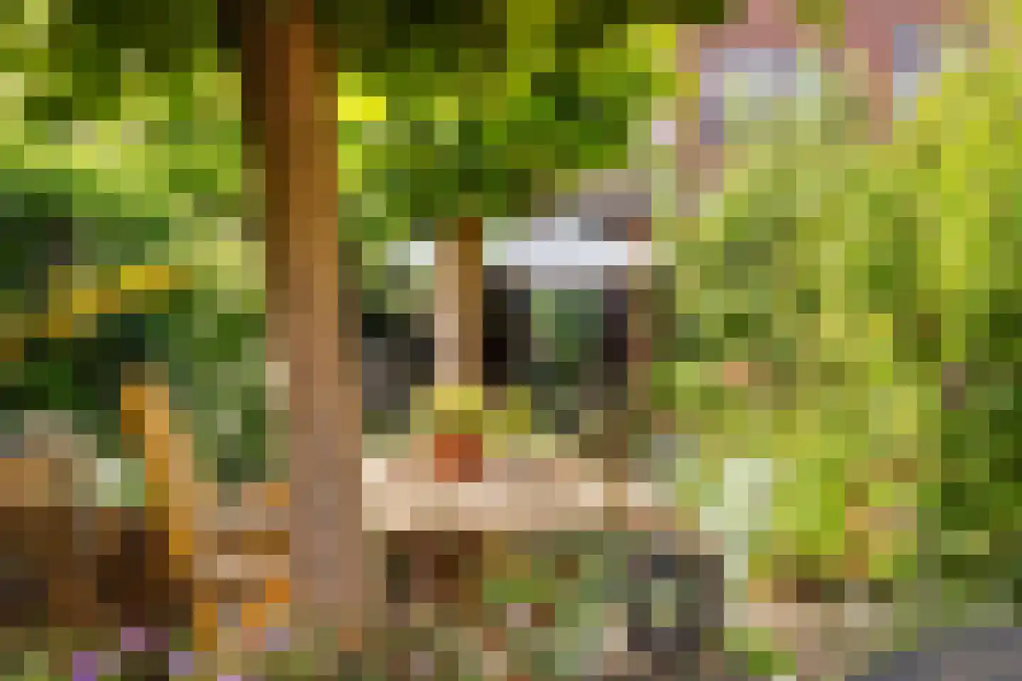 Vlietenburg 11 Gouda thumbnail 47