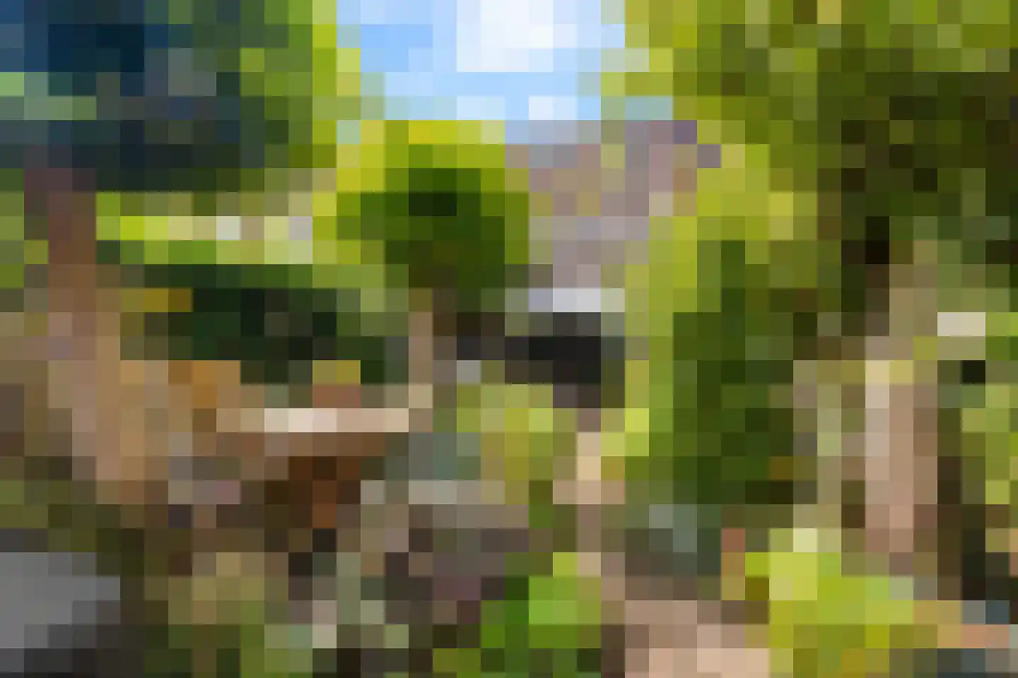 Vlietenburg 11 Gouda thumbnail 5