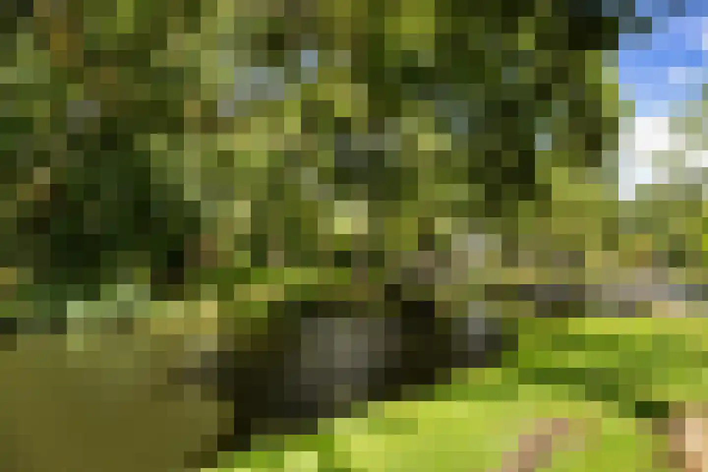Vlietenburg 11 Gouda thumbnail 62