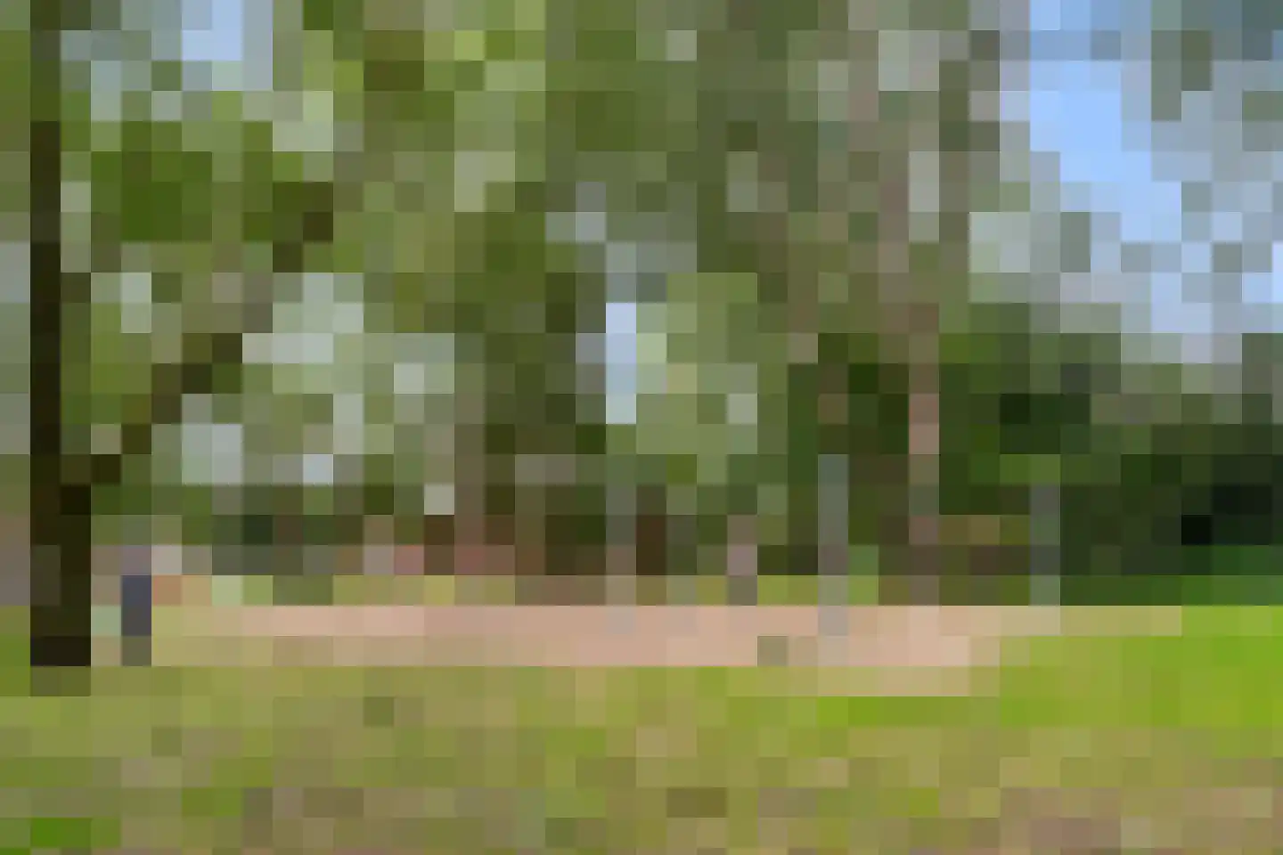 Vlietenburg 11 Gouda thumbnail 63