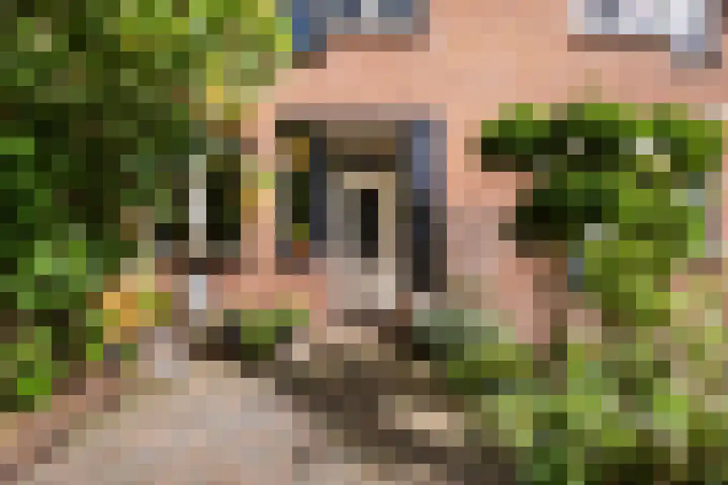 Vlietenburg 11 Gouda thumbnail 7