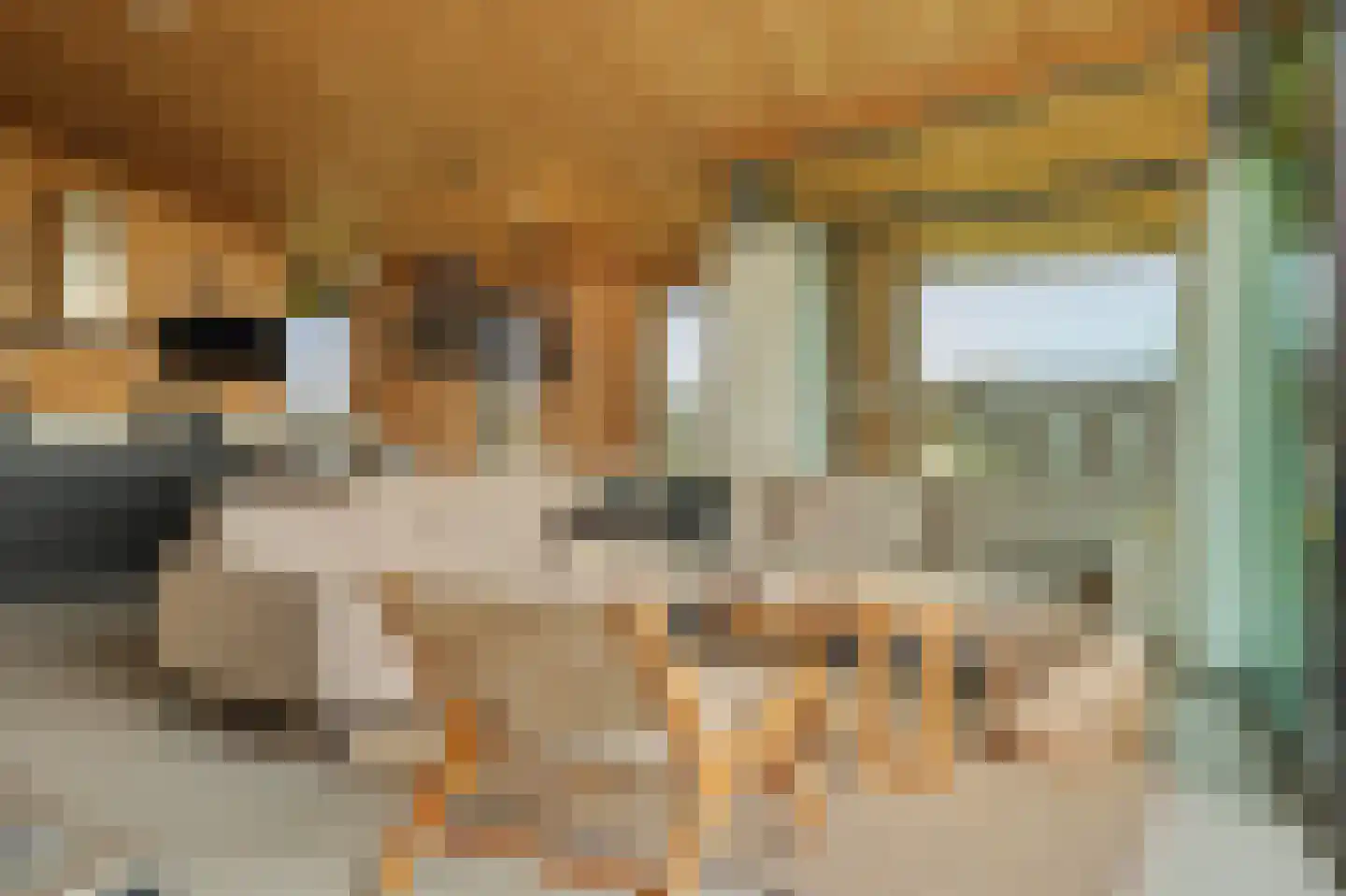 Vlietenburg 19 Wissenkerke thumbnail 12