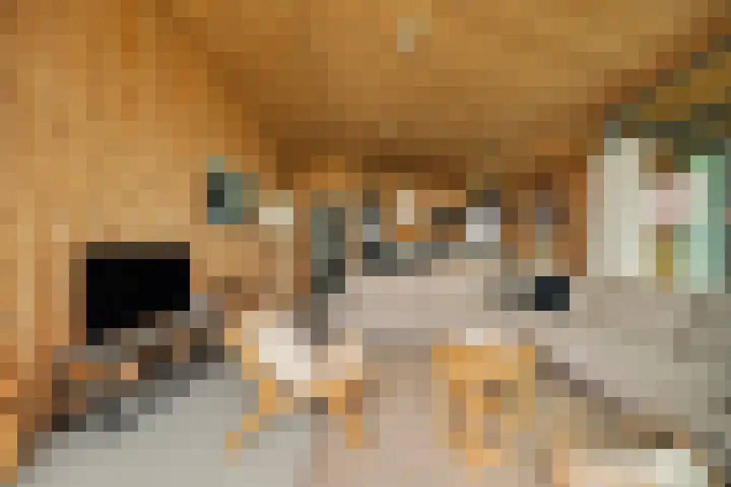 Vlietenburg 19 Wissenkerke thumbnail 13