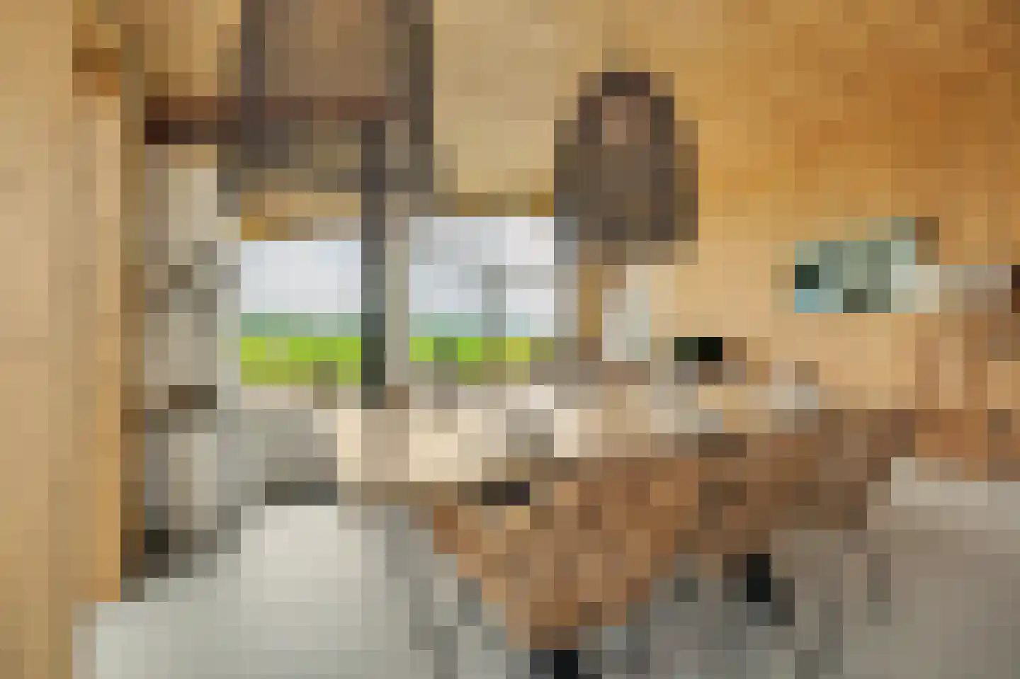 Vlietenburg 19 Wissenkerke thumbnail 15