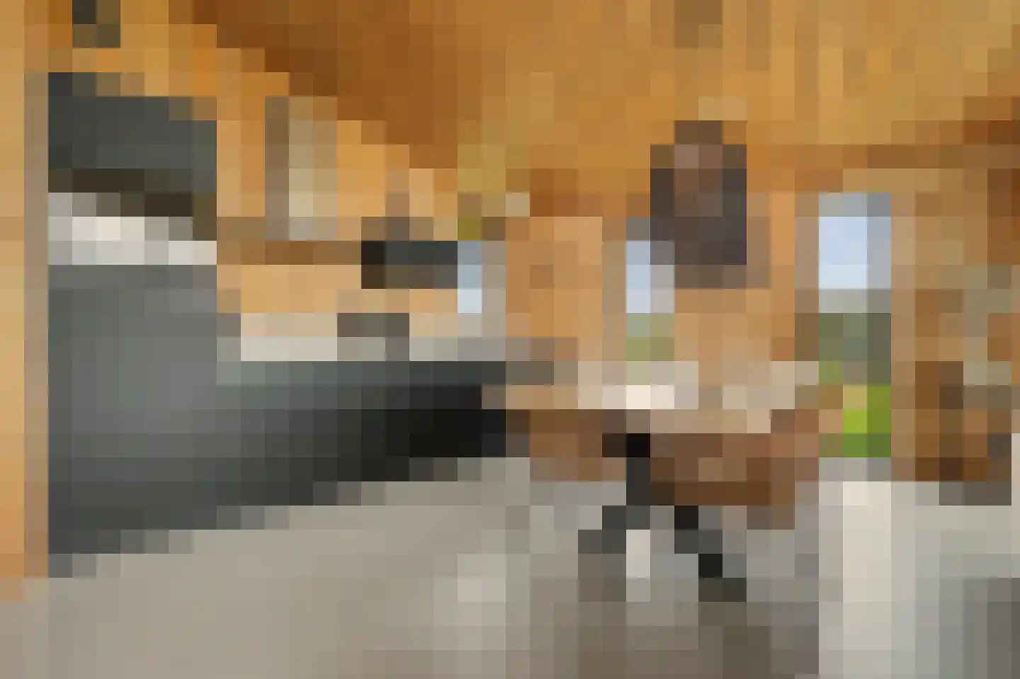 Vlietenburg 19 Wissenkerke thumbnail 16