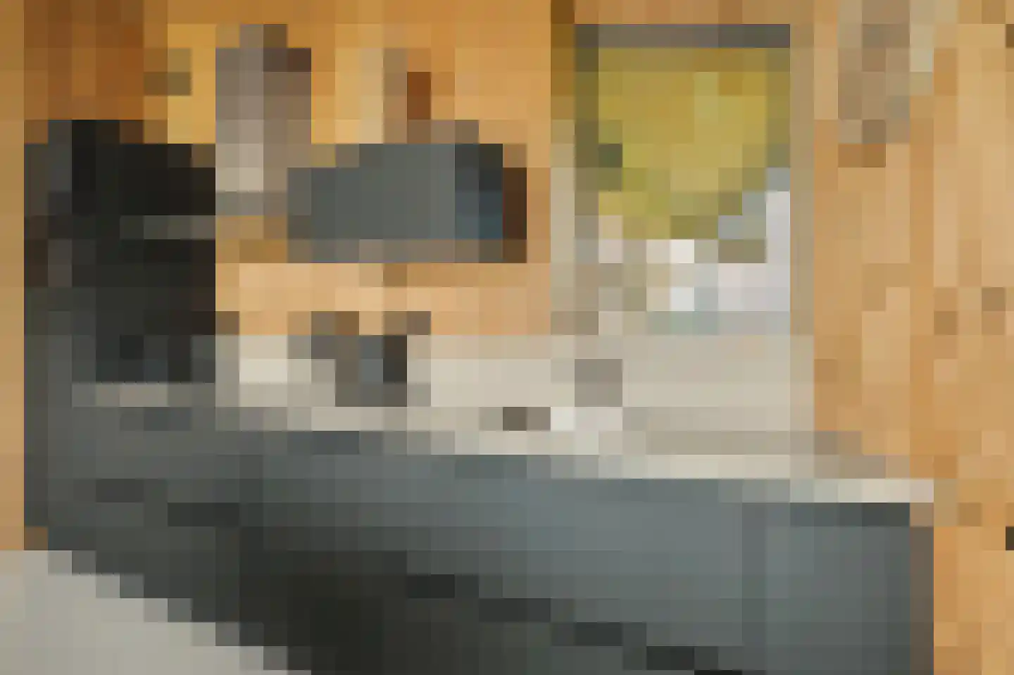 Vlietenburg 19 Wissenkerke thumbnail 17