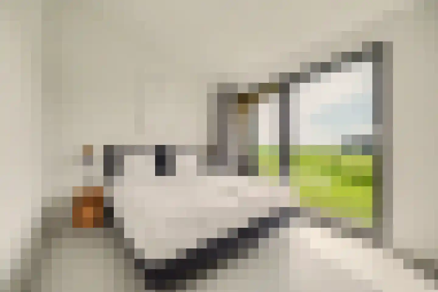 Vlietenburg 19 Wissenkerke thumbnail 20