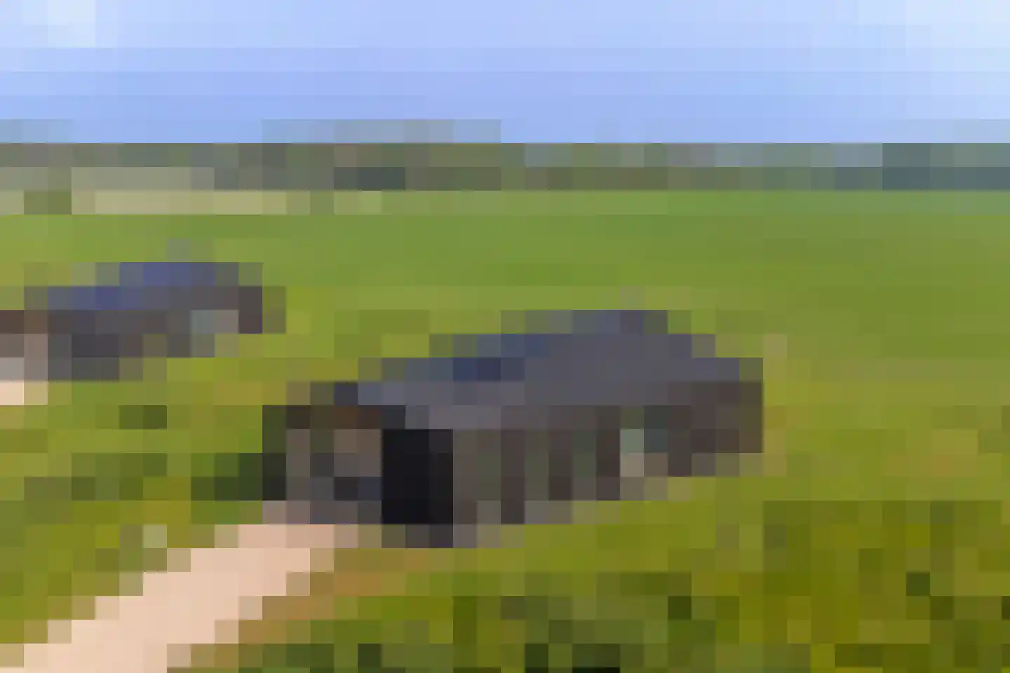 Vlietenburg 19 Wissenkerke thumbnail 33