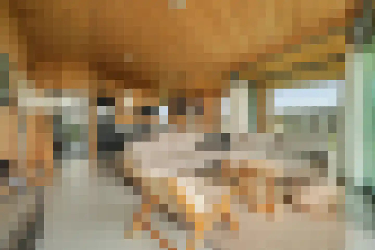 Vlietenburg 19 Wissenkerke thumbnail 4