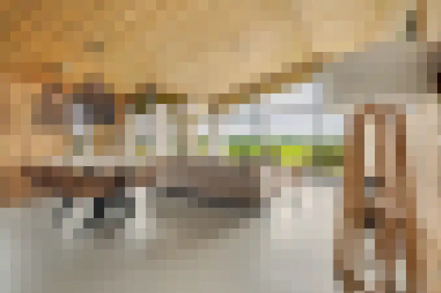 Vlietenburg 19 Wissenkerke thumbnail 9