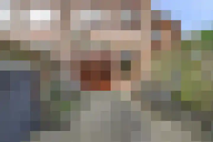 Vlietenburg 63 Gouda thumbnail 32