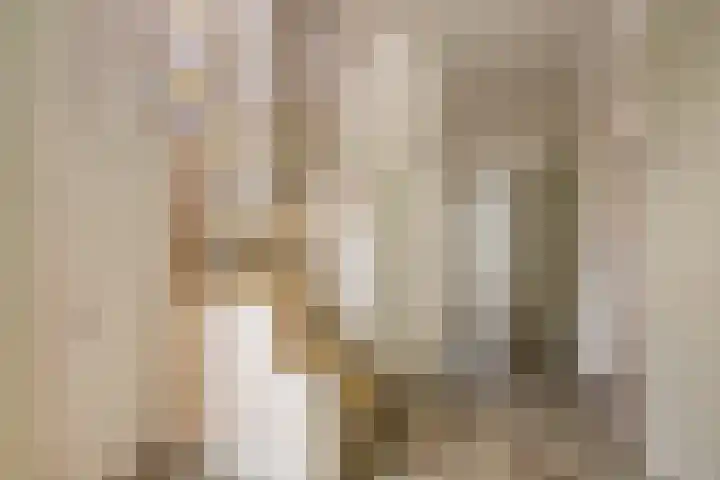Vlietenburgstraat 9 Voorburg thumbnail 22