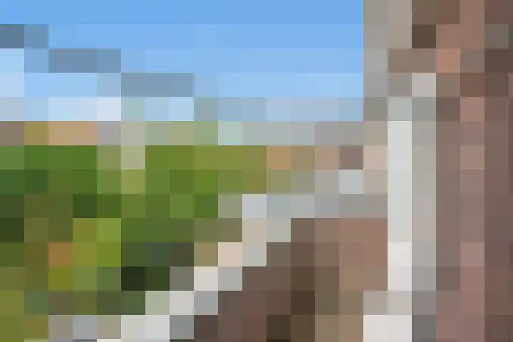 Vlietenburgstraat 9 Voorburg thumbnail 30