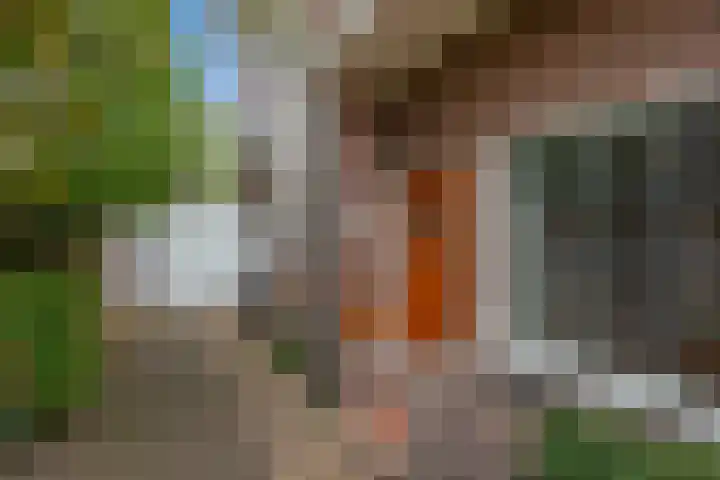 Vlietenburgstraat 9 Voorburg thumbnail 7