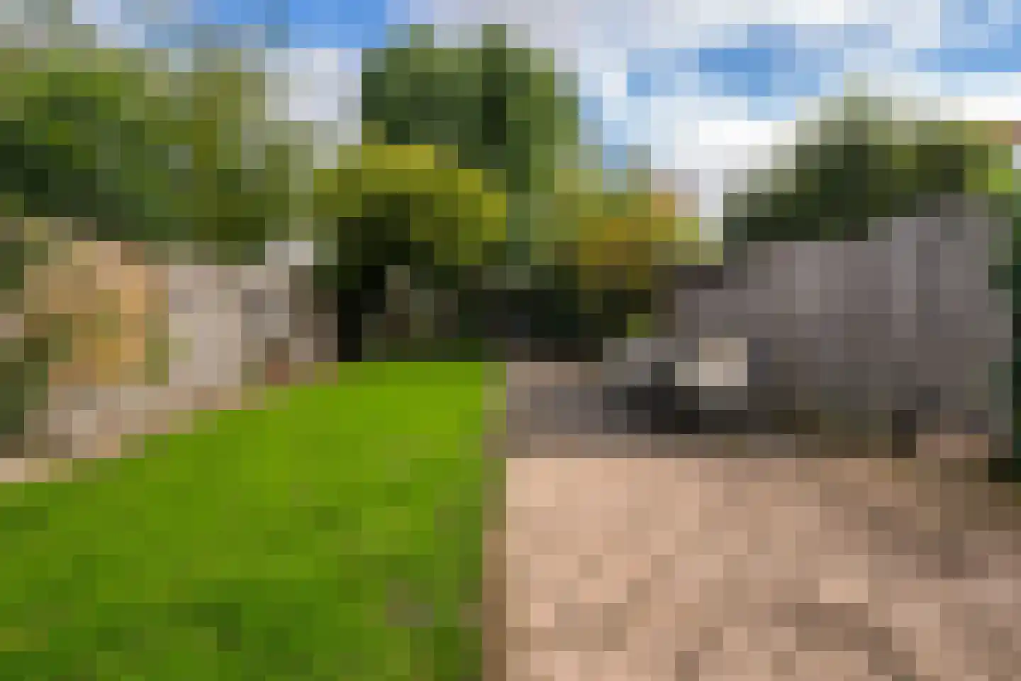 Vlietepolder 29 Hoofddorp thumbnail 22