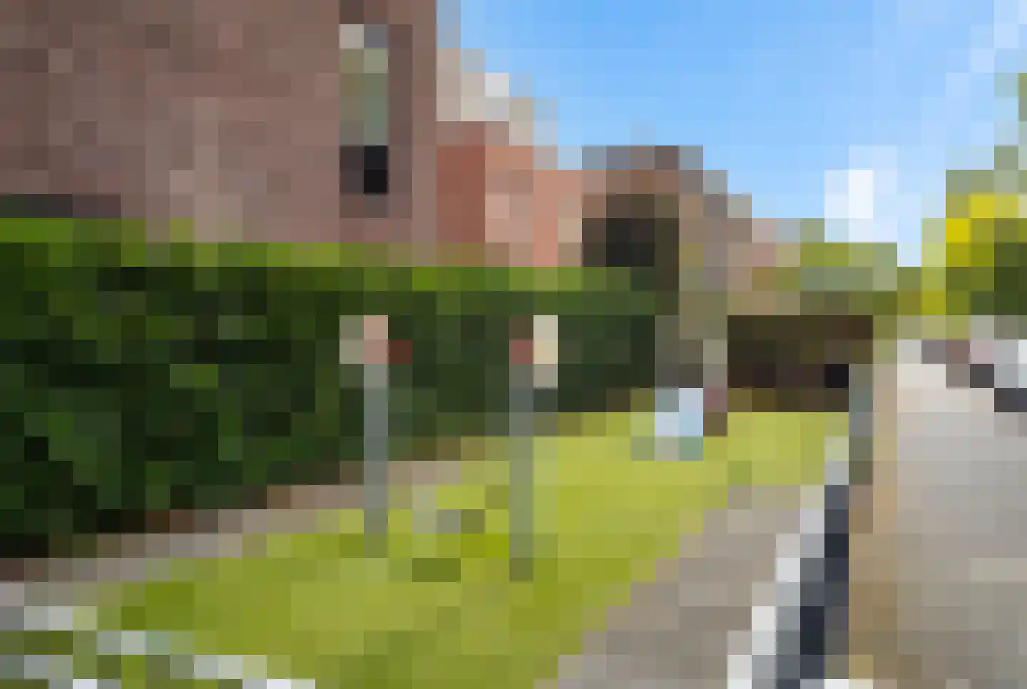 Vlietepolder 29 Hoofddorp thumbnail 26