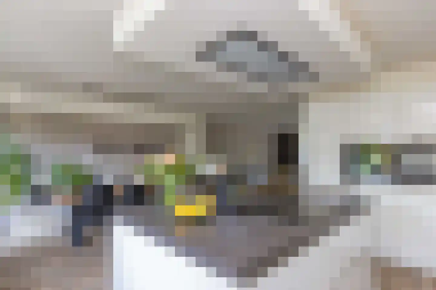 Vlietepolder 53 Hoofddorp thumbnail 15