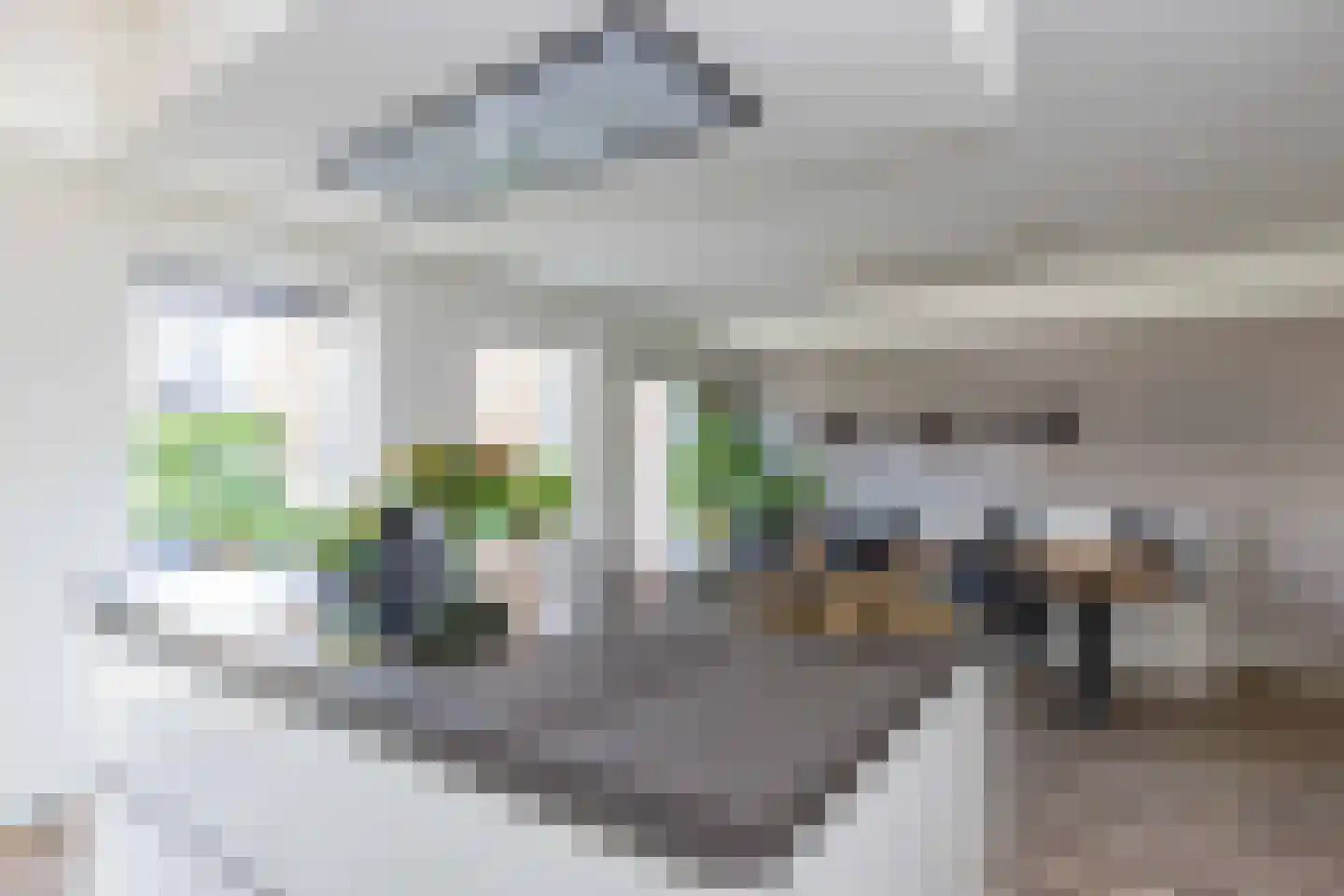 Vlietepolder 53 Hoofddorp thumbnail 16