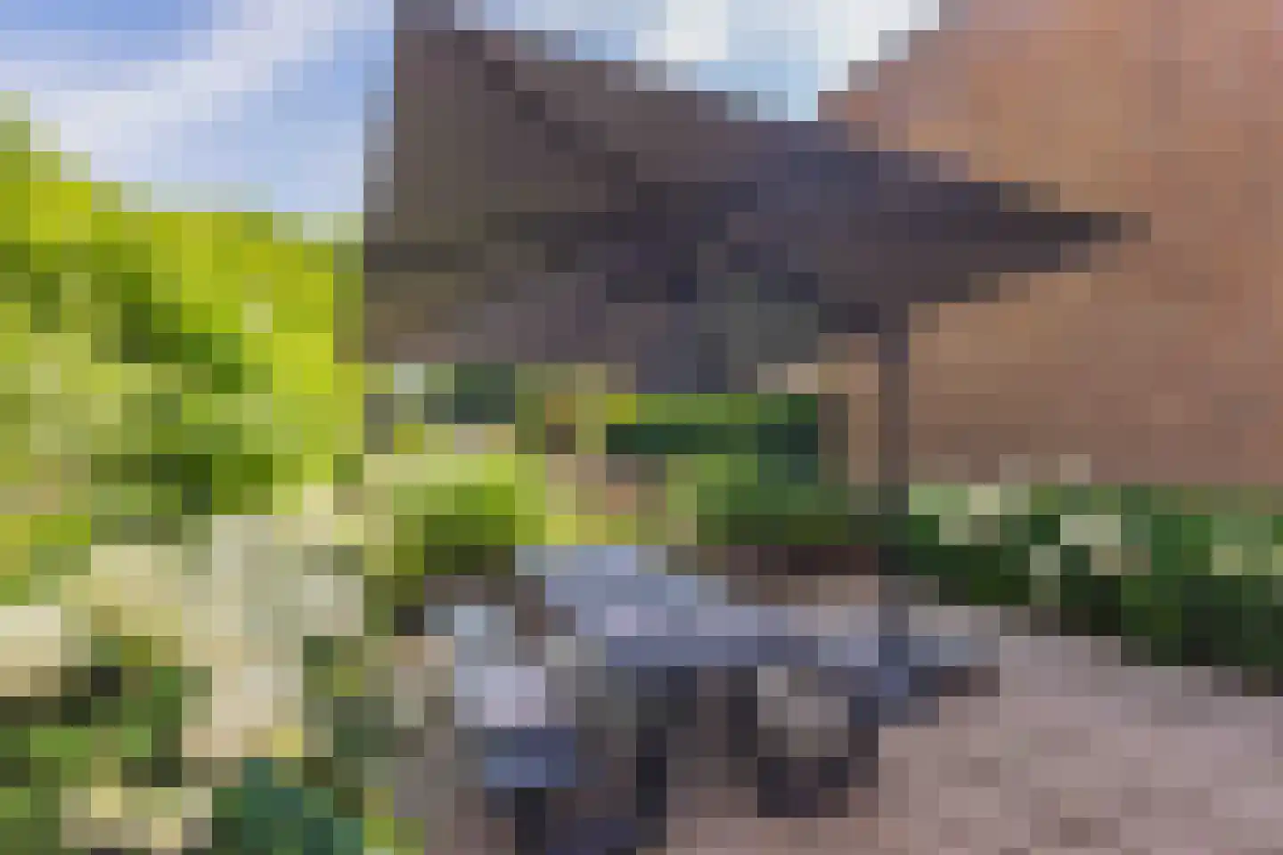 Vlietepolder 53 Hoofddorp thumbnail 32