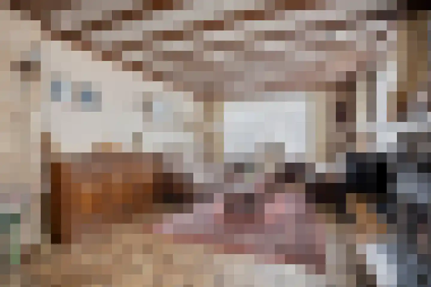 Vlieterdijk 22 Luyksgestel thumbnail 10
