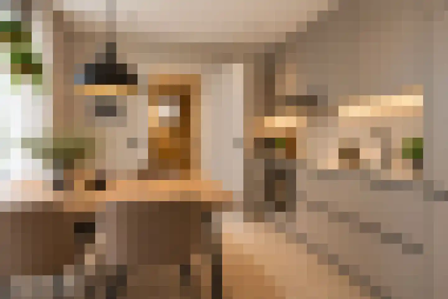 Vlieterdijk 22 Luyksgestel thumbnail 16