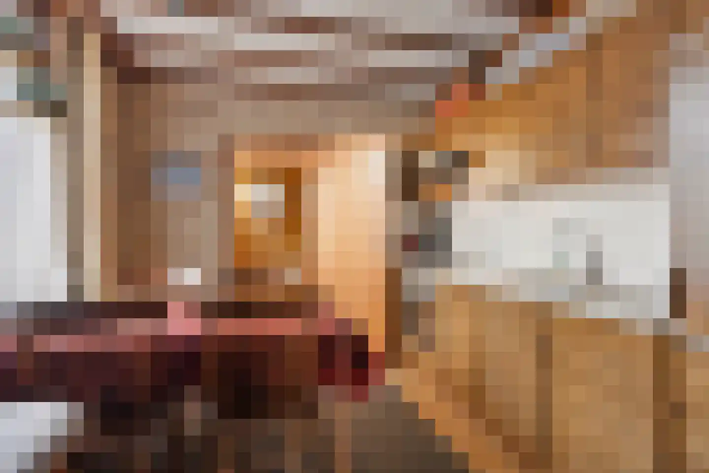 Vlieterdijk 22 Luyksgestel thumbnail 17