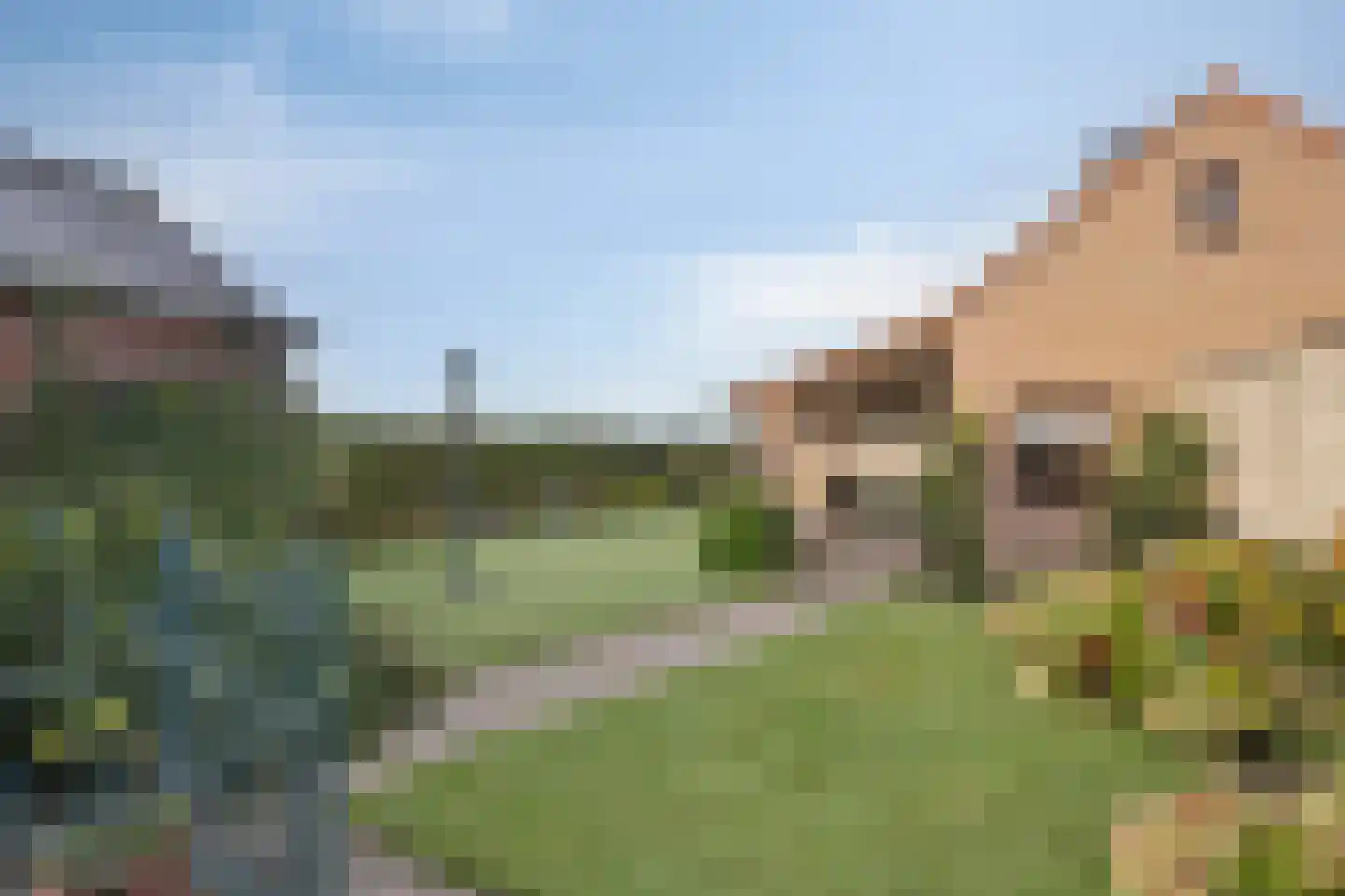 Vlieterdijk 22 Luyksgestel thumbnail 34
